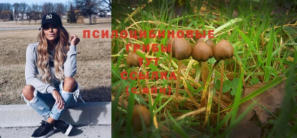 ALPHA-PVP Беломорск