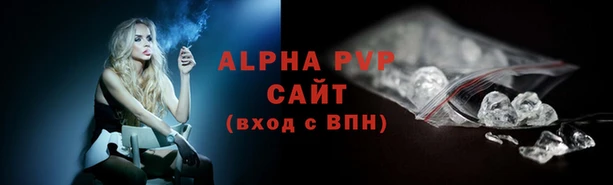 мдпв Каменка