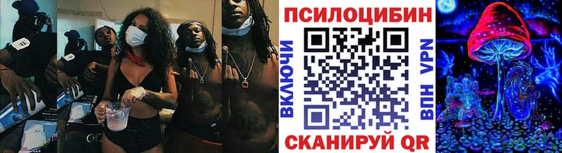 Галлюциногенные грибы GOLDEN TEACHER  Болотное 